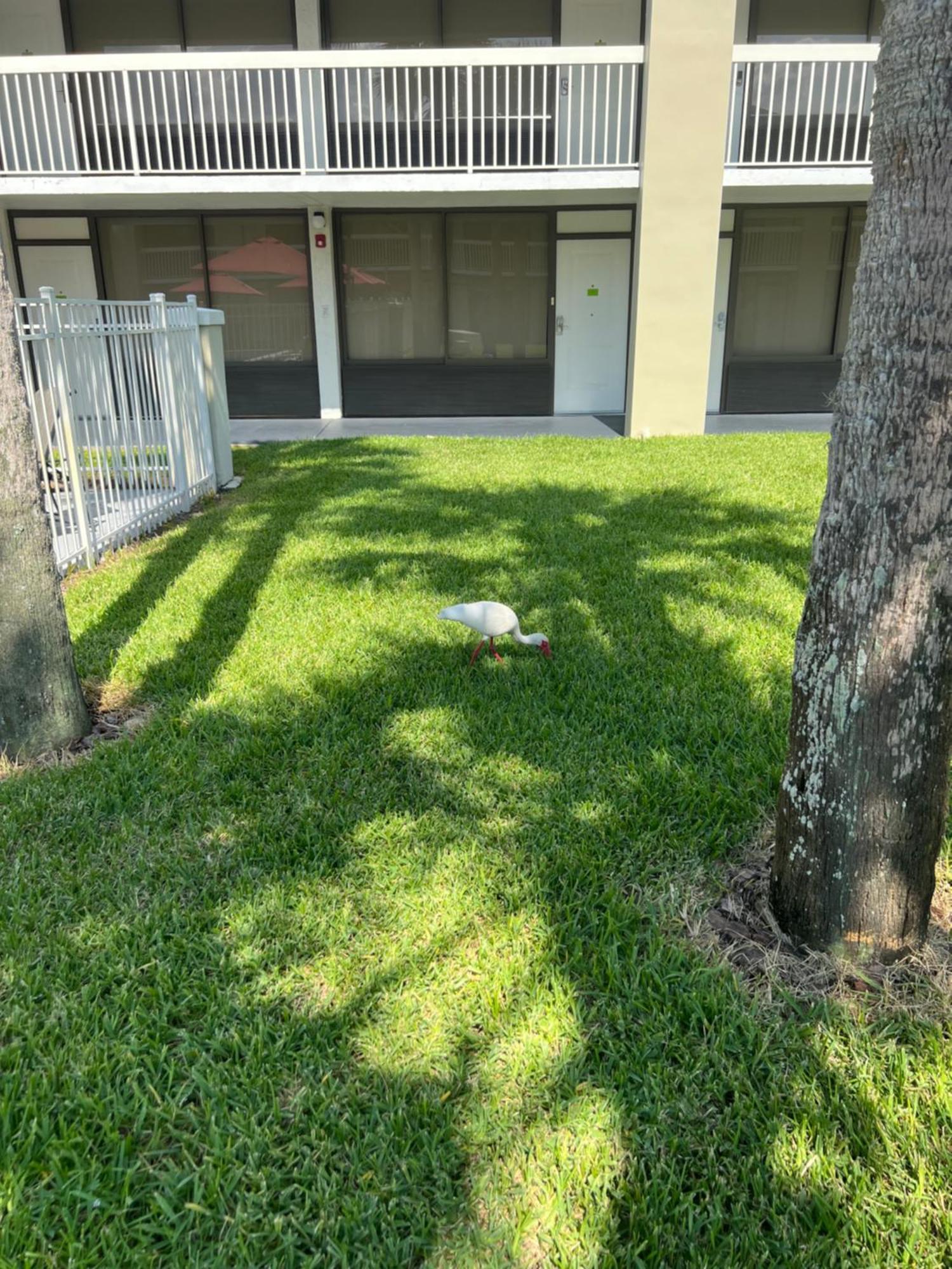 Hotel Room Near Disney 4 People Kissimmee Εξωτερικό φωτογραφία